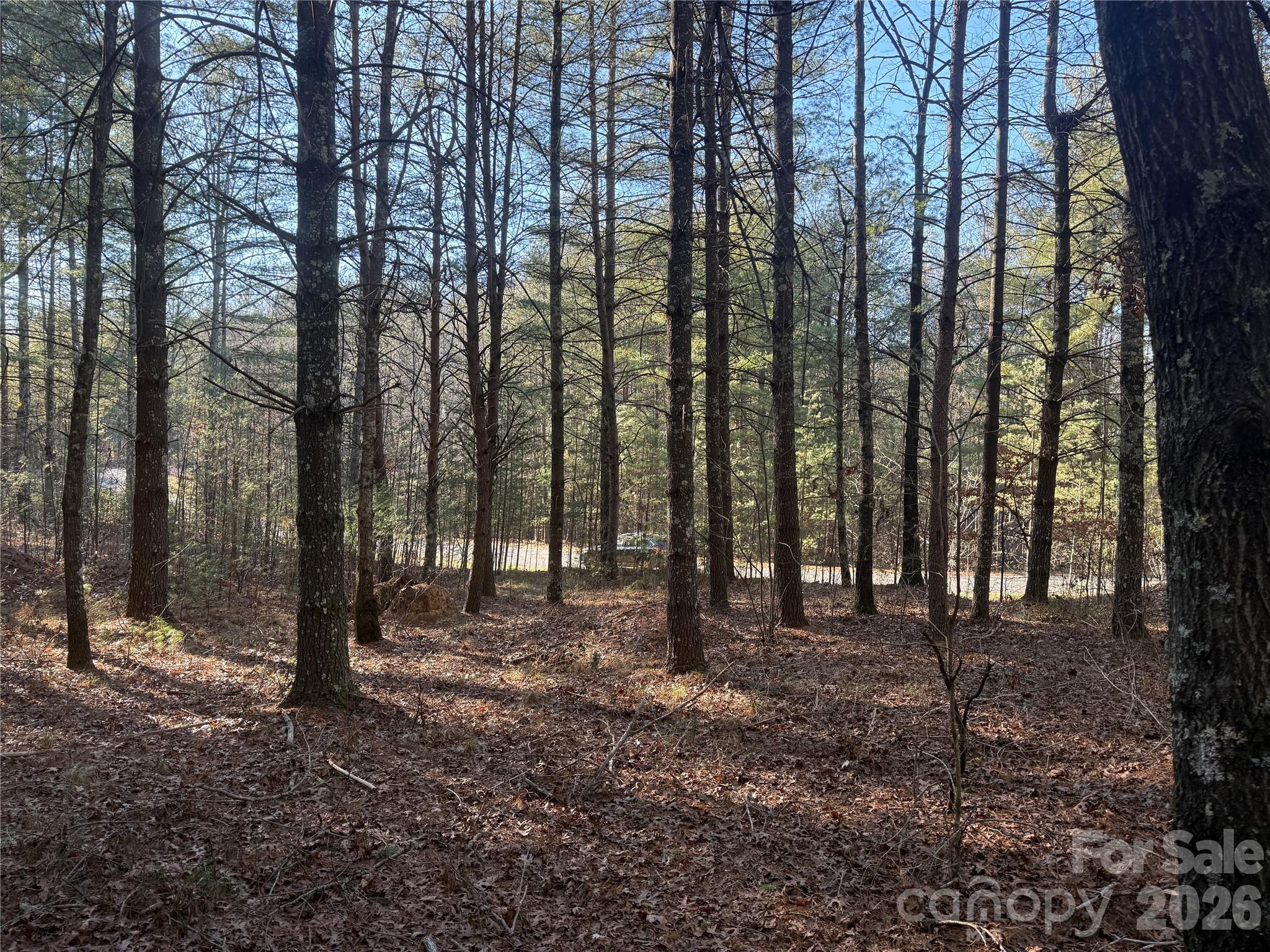 1291 Scenic Vista Drive 288