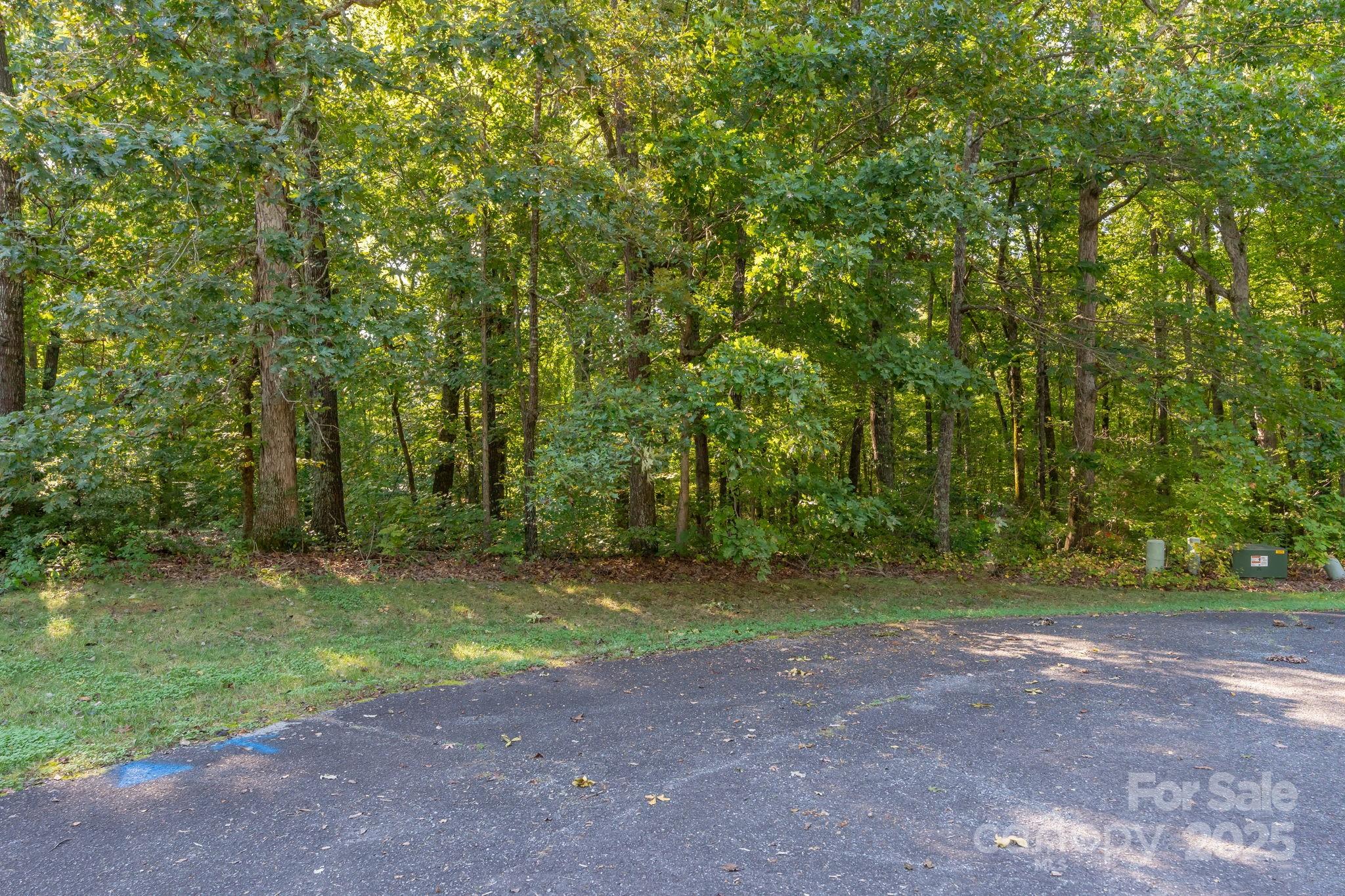 172 Doverstone Court