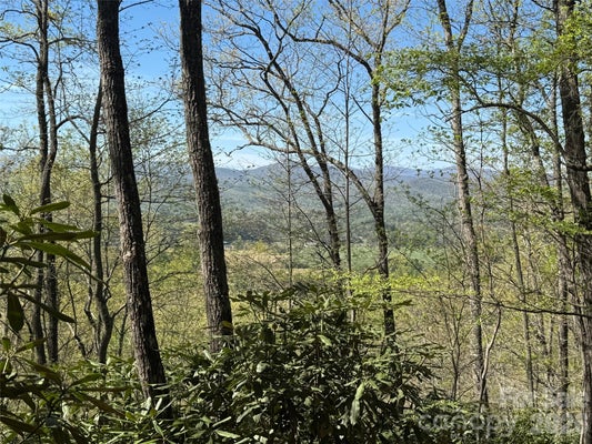 33 RESERVE RD # 33, PISGAH FOREST, NC 28768 - Image ca5fad8bf36be4e0189acb7cae97579b/2586226944