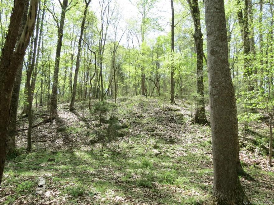 Beautiful tract of land with large creek as the left property line.  This property is mostly pasture and has barn on top of hill.  The land has a nice rolling topo with a very nice hill in the back with large hardwoods.  This is a great place to have horses or cattle.  There are several nice build sites on the property that would create plenty of privacy but still have views of the entire property.