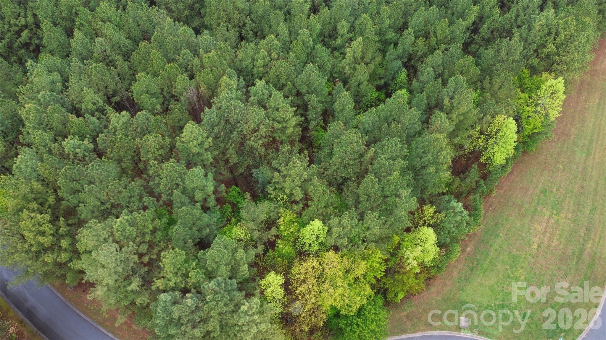 Lake Rhodhiss Estates - Land