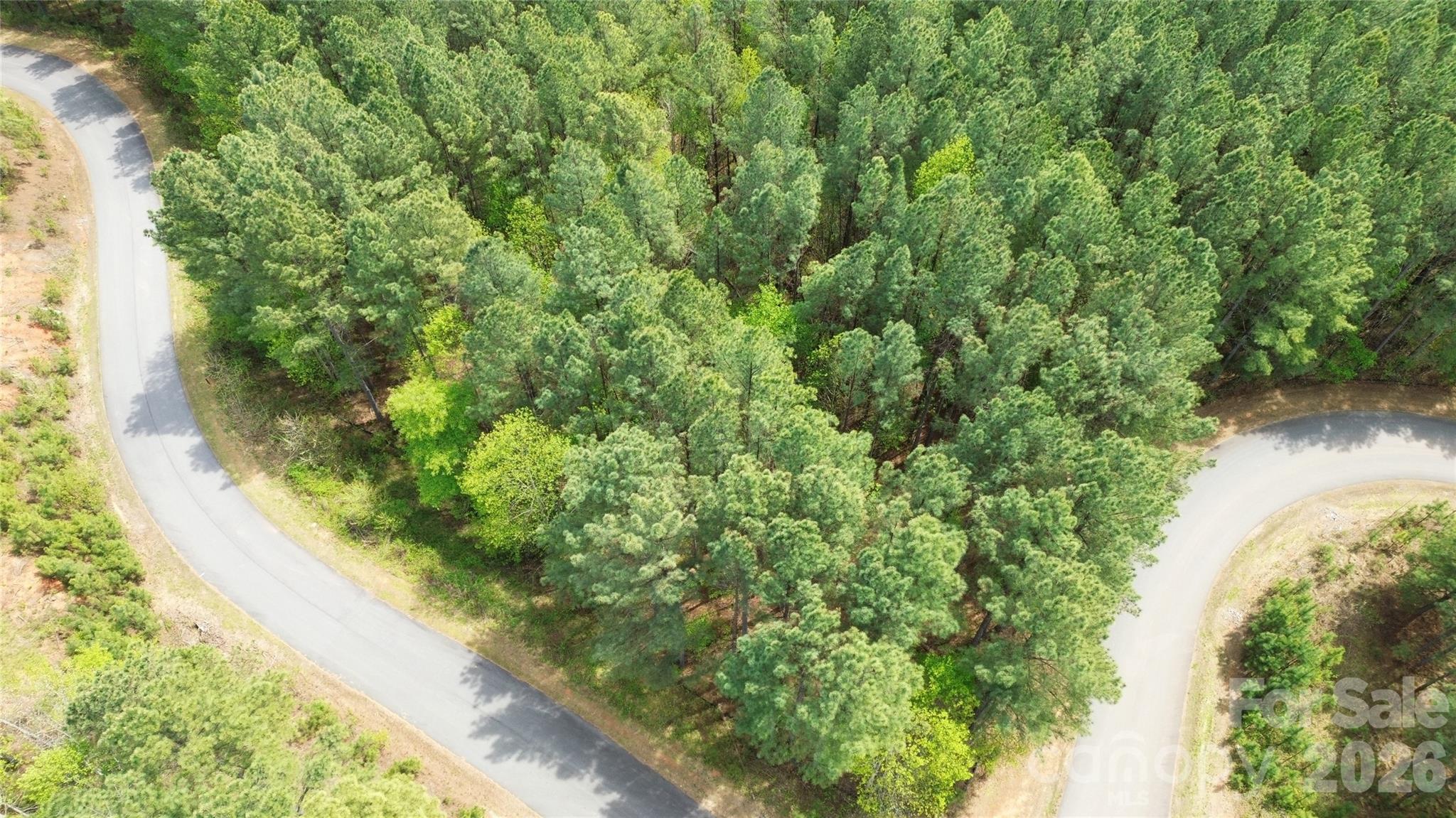 Lake Rhodhiss Estates - Land