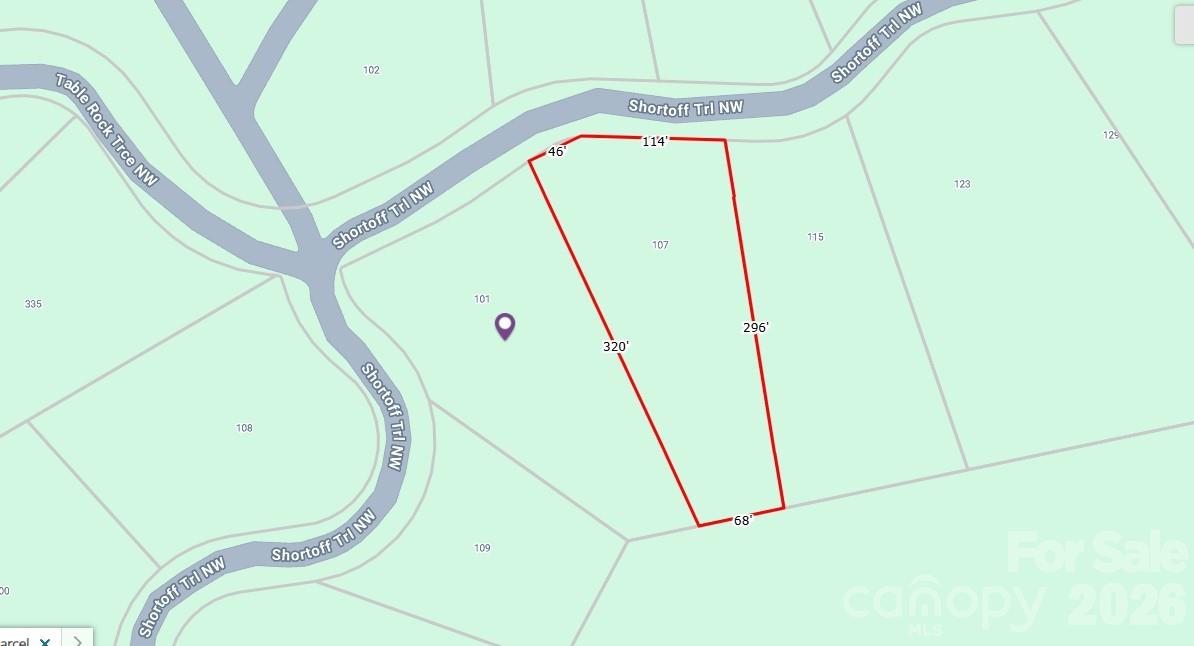 Lake Rhodhiss Estates - Land