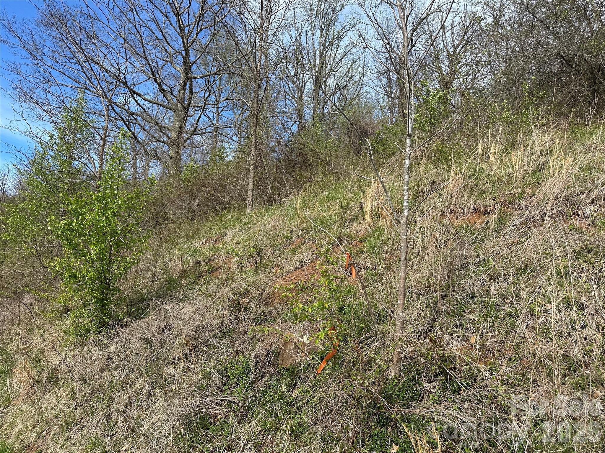 Sunset Mountain - Land