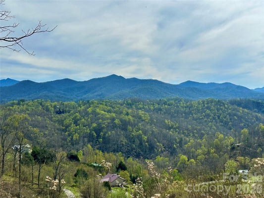 52 SUNSET MTN, BAKERSVILLE, NC 28705 - Image ca72d311a69a9062ad9e425297d44b7f/2955292012