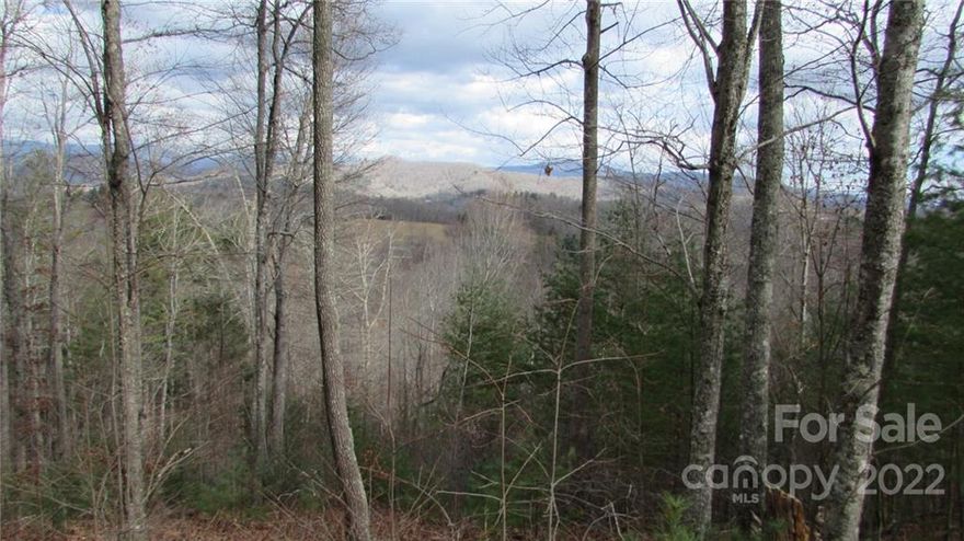 Lot# 7 - Exceptional Mountain property with great views and easy access off state maintained road. This subdivision has good roads throughout and joins the Toe River at the common area for picnic, trout fishing, tubing and kayaking or just sit back and relax. This 1.39 acre lot is level at the road frontage and moderate to steep.  This private and secure gated neighborhood has underground electric and offers mountain views throughout. Common Area - GreenSpace has Toe Riverfront, Fishing, Hiking Trail, Fire pit and Grill to sit back, relax and enjoy the mountain beauty surrounding you.  International Dark Sky area with 34" telescope and observatory, Appalachian Trail, Mount Mitchell, Roan Mountain, Blue Ridge Pkwy, Penland School of Crafts, Toe River, Cane River, Nolichucky River, golf. ski...more. less than 1 hour to Asheville, 10 miles to Burnsville and 15 miles to Spruce Pine. Gate code. See Sign. Plat in office