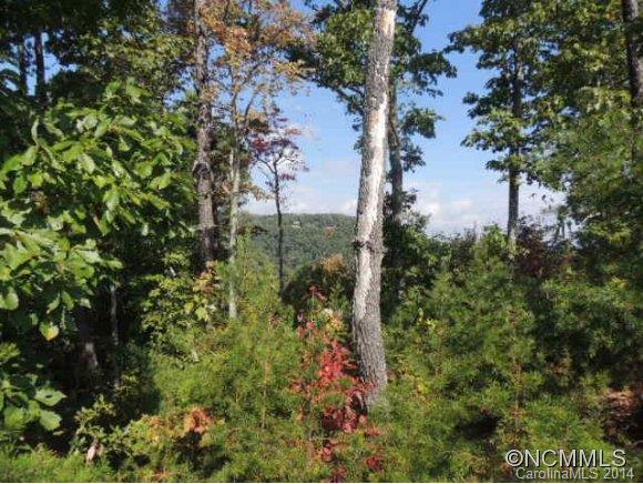 Yellowtop Mountain Estates - Land