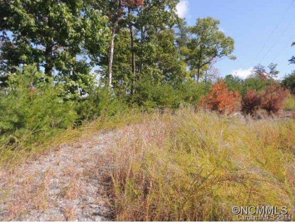 Yellowtop Mountain Estates - Land