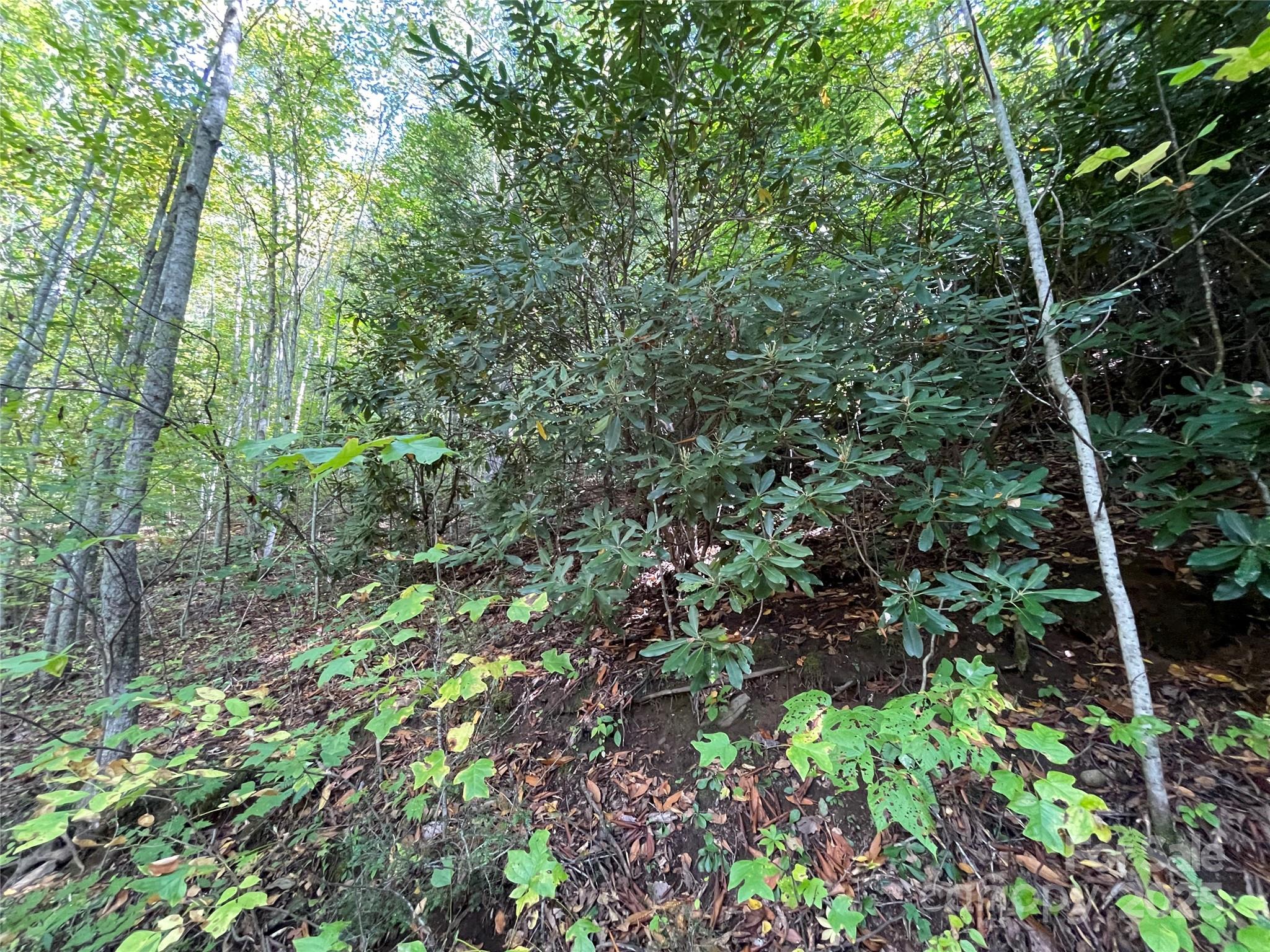 00 Poplar Holler Road
