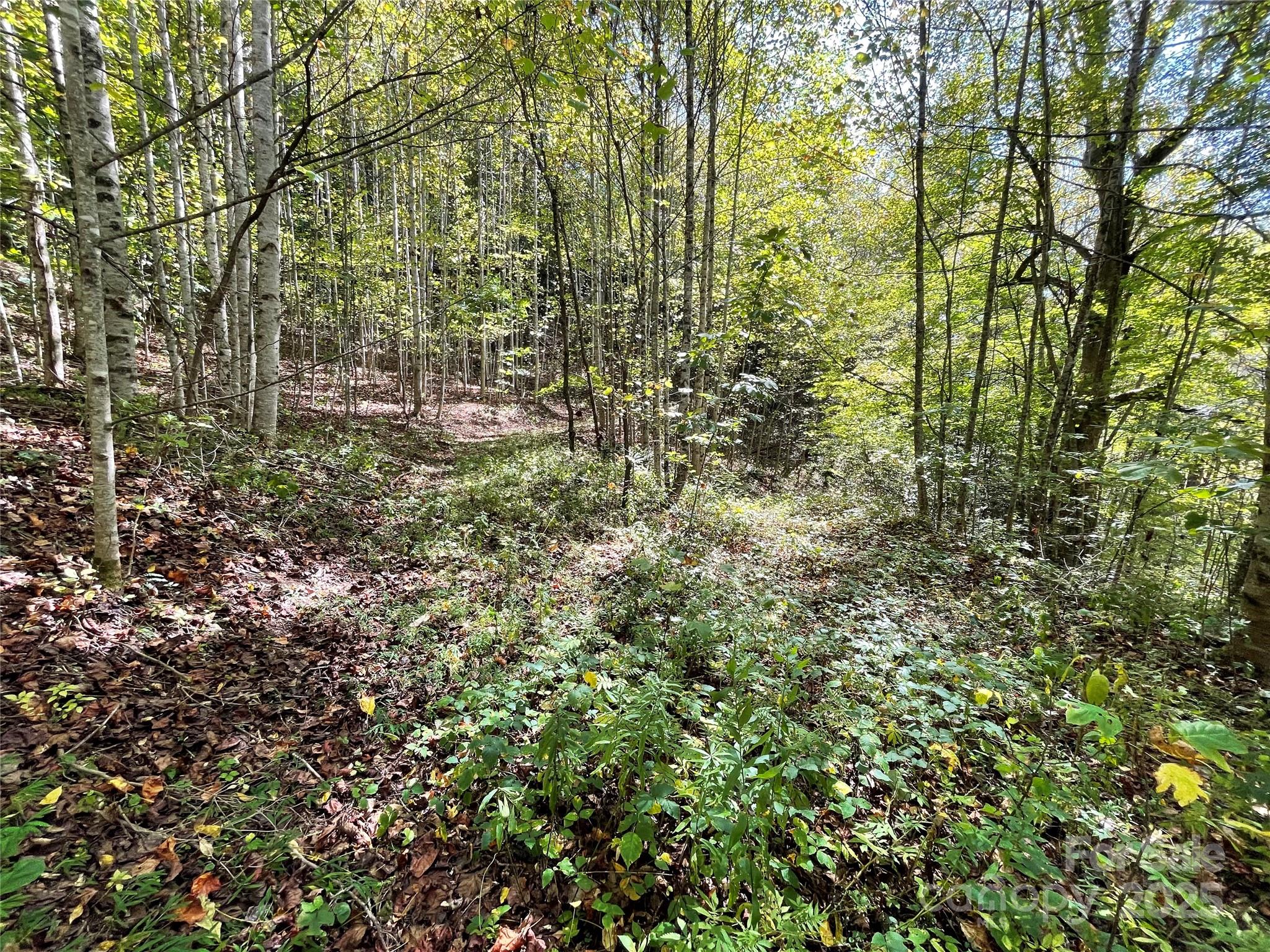 00 Poplar Holler Road