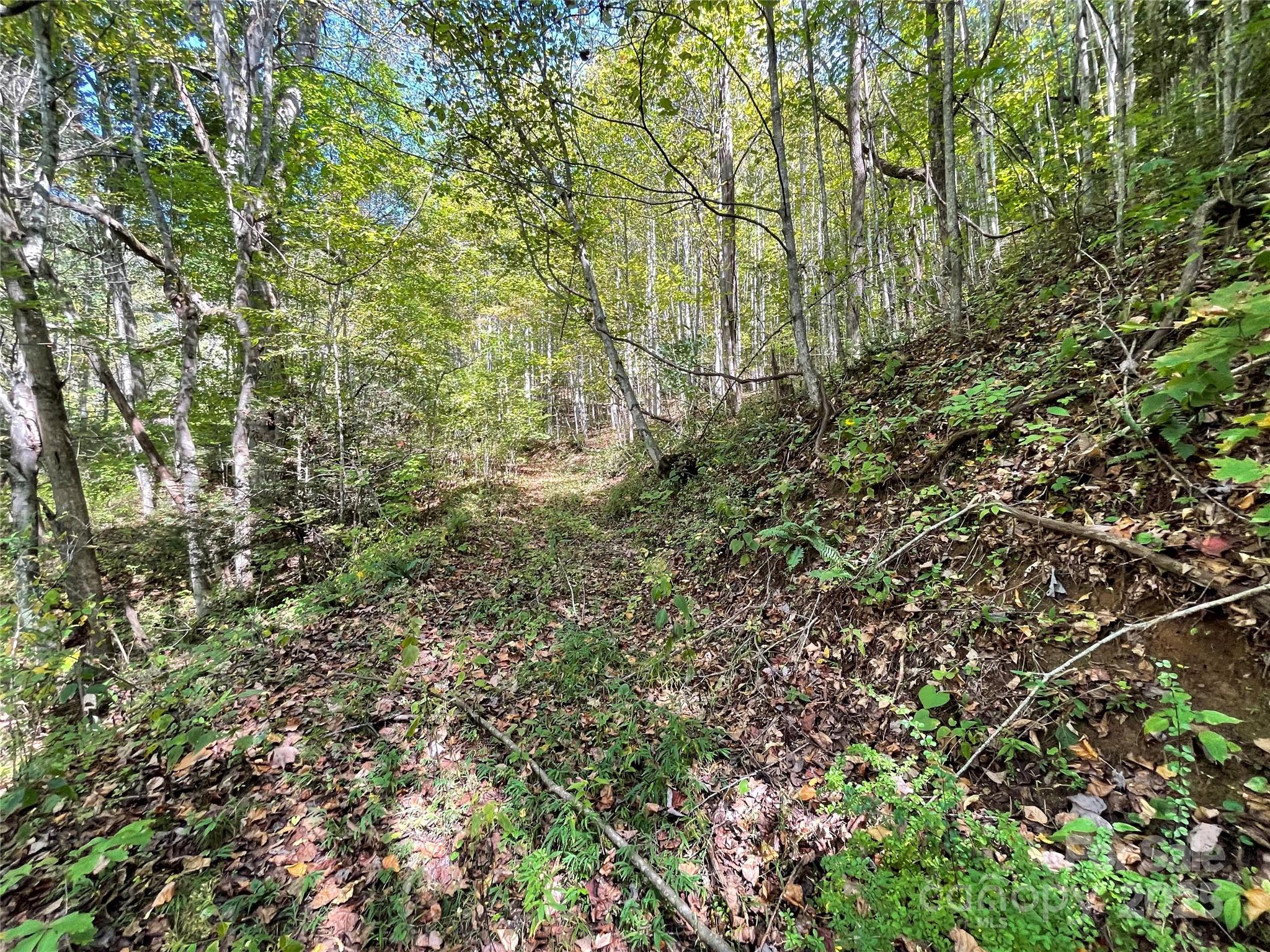 00 Poplar Holler Road