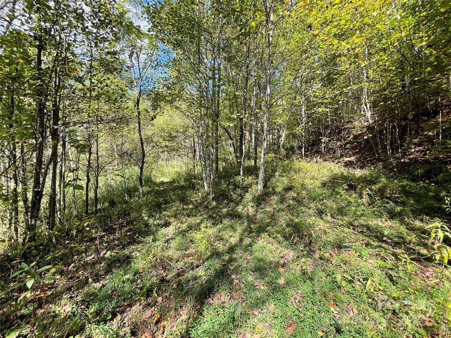This is a surveyed 5.27-acre tract located just off Plott Creek Road, directly across from The Villages of Plott Creek. The land offers gently rolling topography, multiple natural building sites, and a mix of open areas and mature trees that create a private mountain setting. A prepared roadbed provides easy access into the property, and the recorded right-of-way shown on the survey gives a clear approach and usability. This property is located only minutes from downtown Waynesville, Central Haywood school, and everything Haywood County offers, yet outside the city limits for lower taxes and more flexibility. No recorded restrictions. Bring your home plans, cabin ideas, camper, or simply hold it as a smart long-term investment. Properties with this level of privacy, access, and usability are becoming scarce. Schedule a walk of the land and see the potential for yourself.