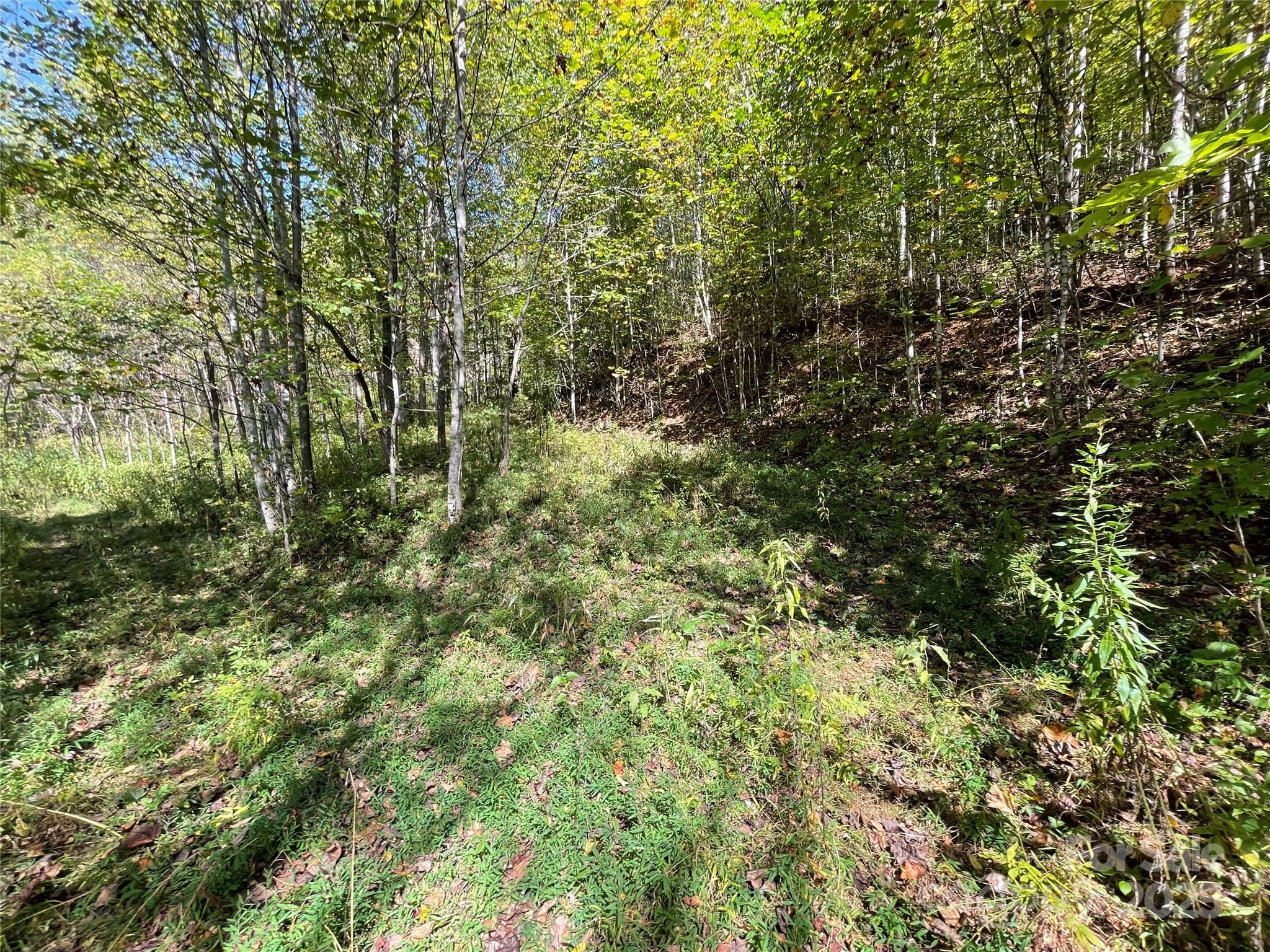 00 Poplar Holler Road