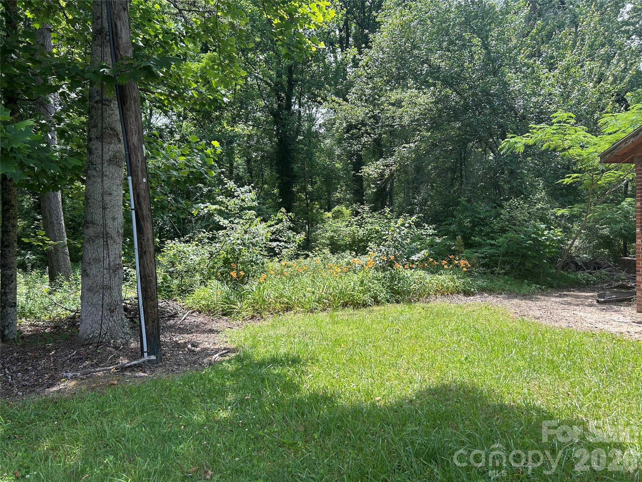 3177 Haywood Road