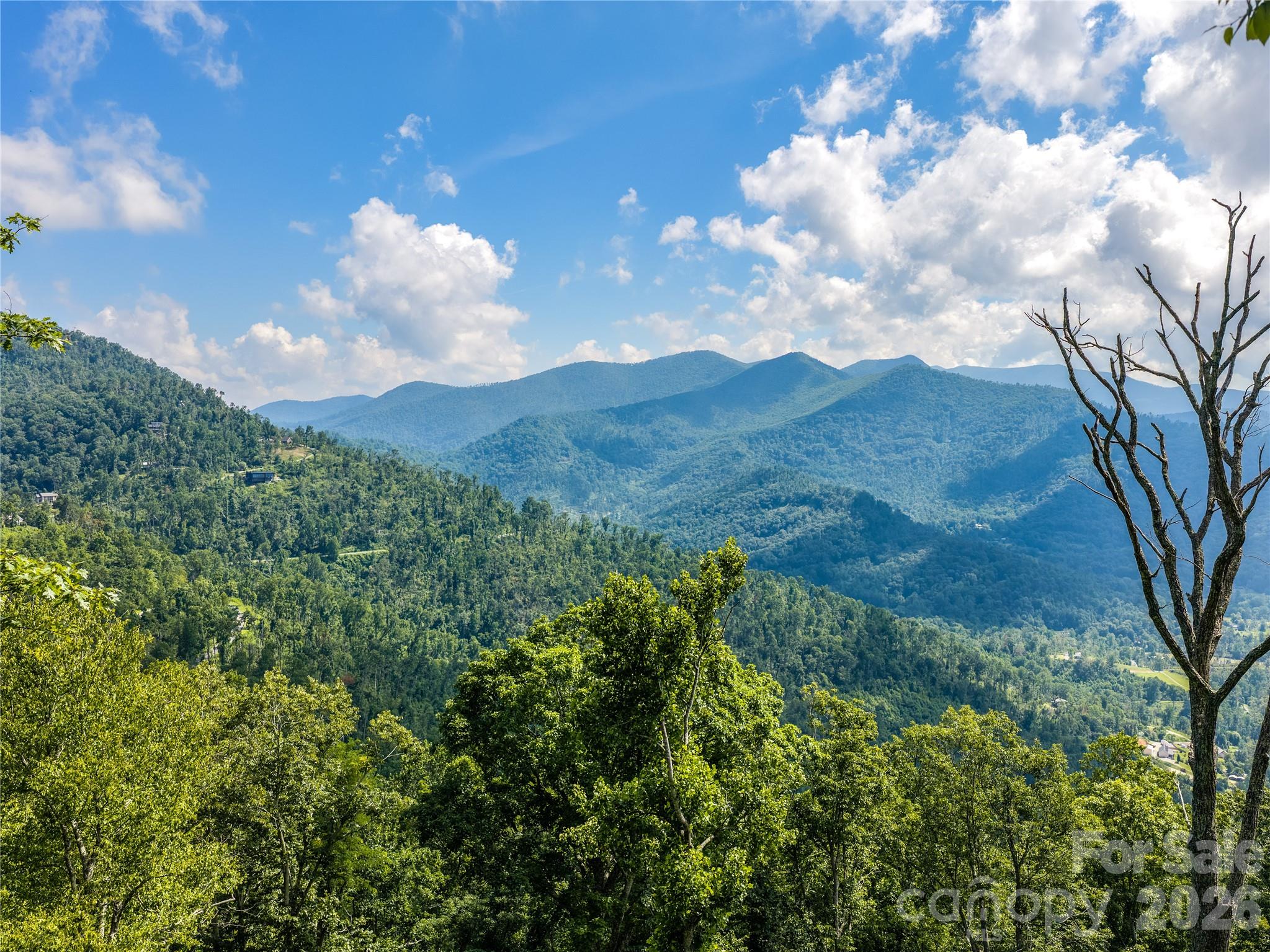 36 Cary Lane, Asheville, NC, 28804