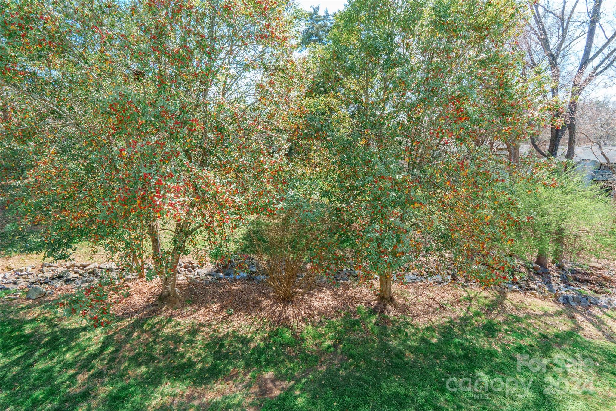 Carmel Village - Residential