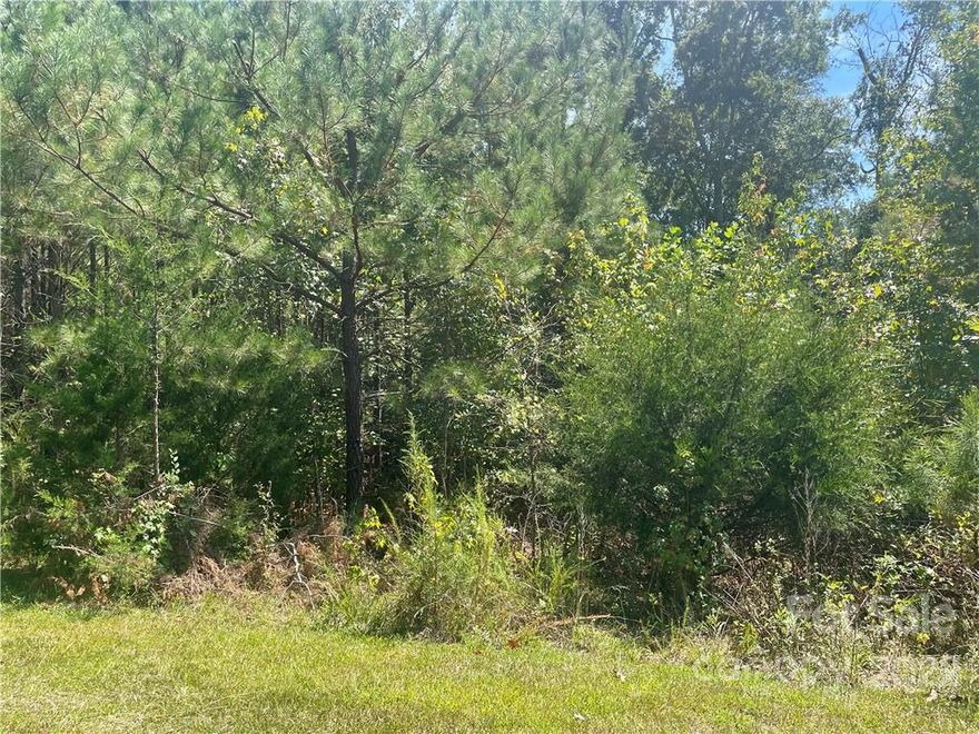 Great 1 acre lot! Classified as Lot #1. County taxes & city utilities. What could be more perfect than that? Such a great location. Better not wait as this won't last very long at this price. Current Survey available. All the front end hard work has been done. Time to jump in and build your dream home. The lot directly beside this one was formerly together before it was divided up per a surveyor. MLS#3900788 2577 Bonnybrook is directly beside this lot.Would make a great basement lot; part of this lot is in a flood plain. Impact/tap fee info available upon request. Seller needs 60 days to close, possible to close sooner.