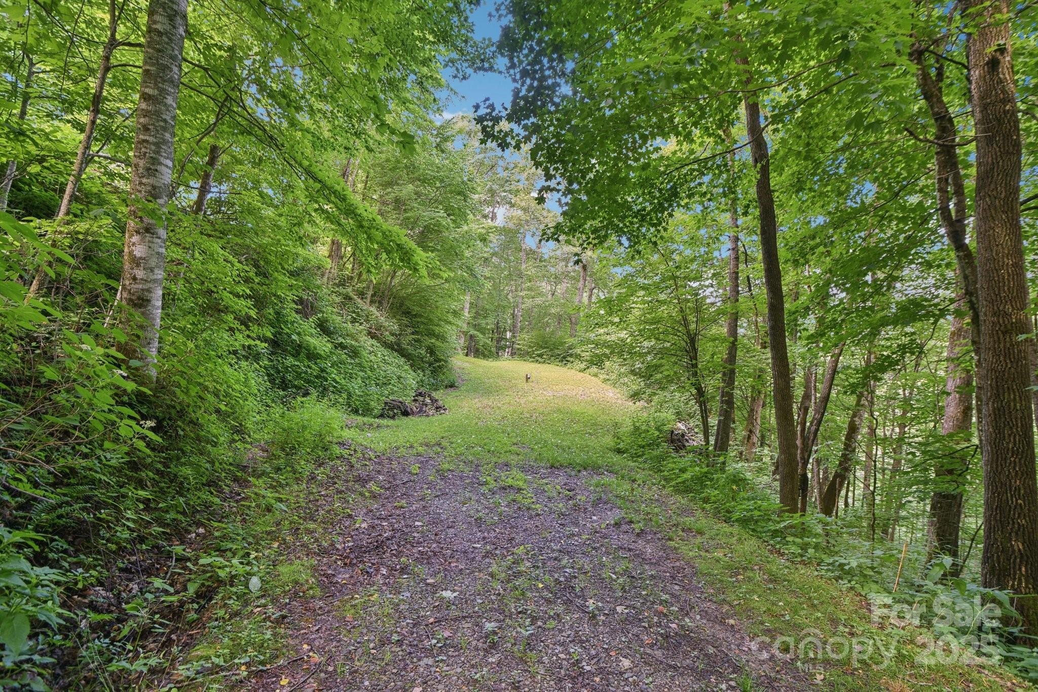 0000 Plott Balsam Road