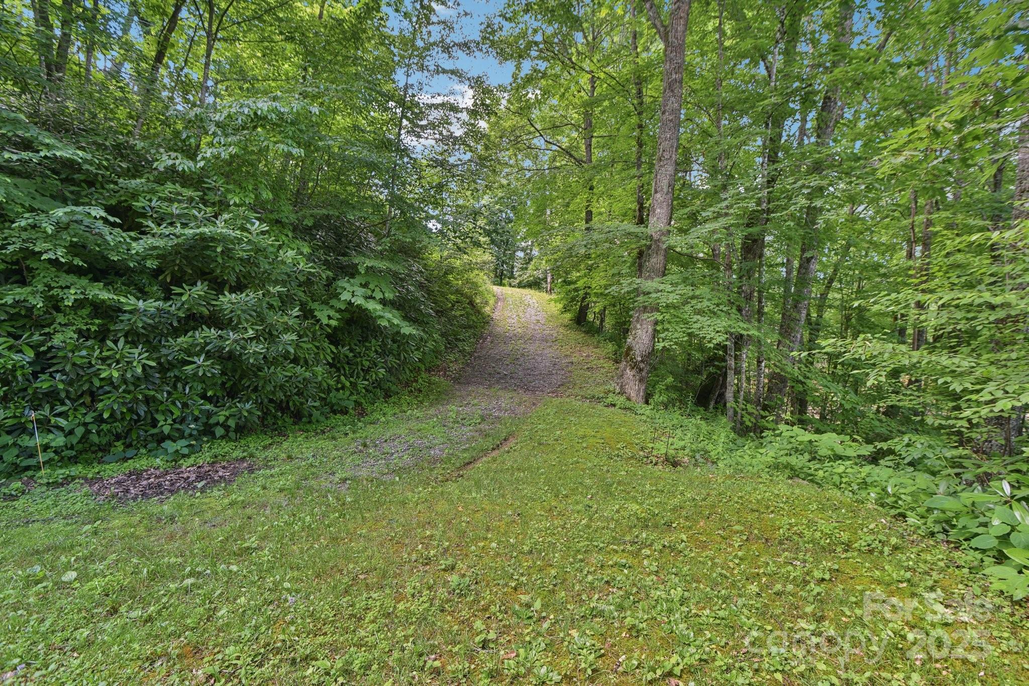 0000 Plott Balsam Road