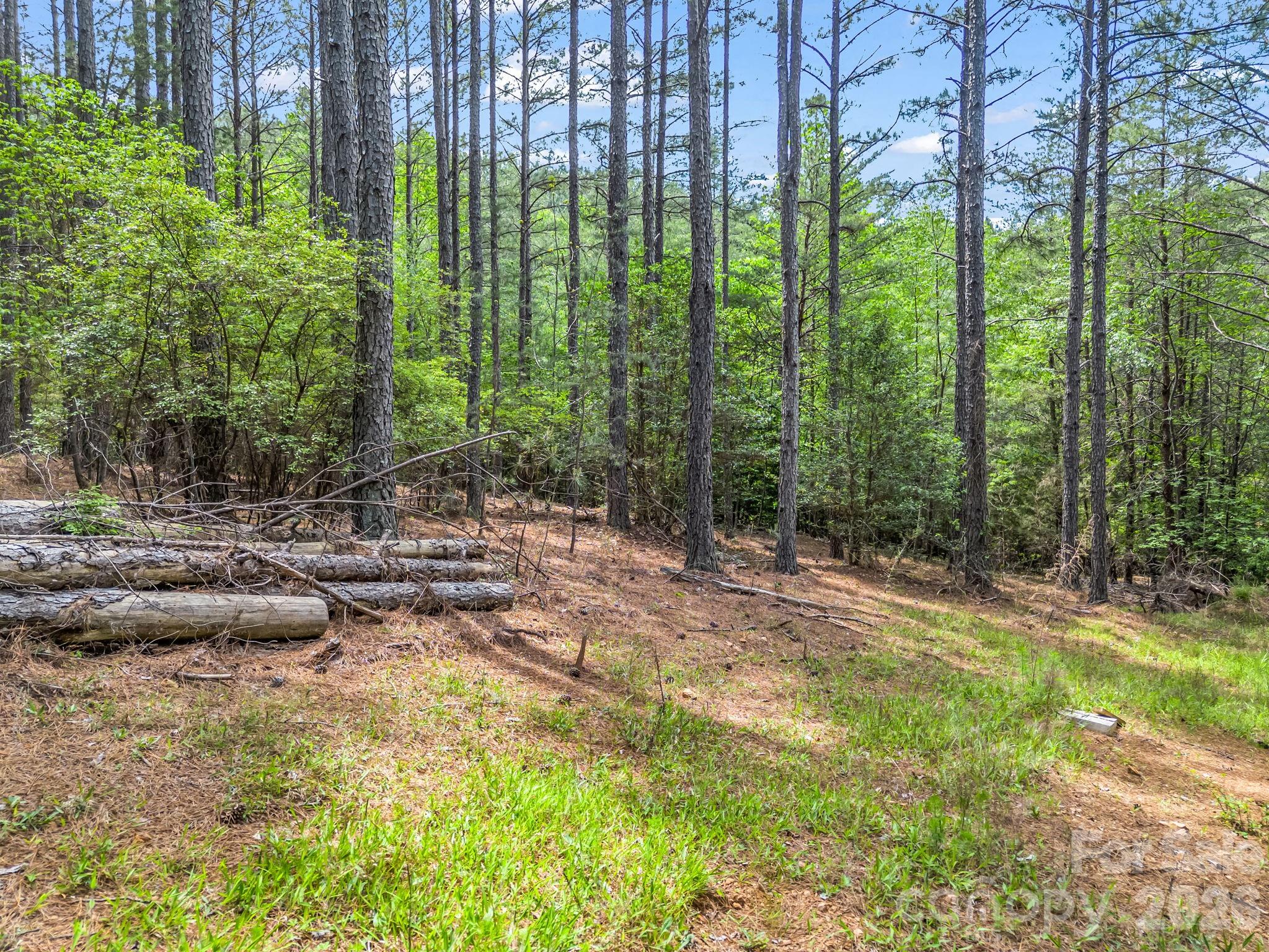 Broad River Highlands - Land
