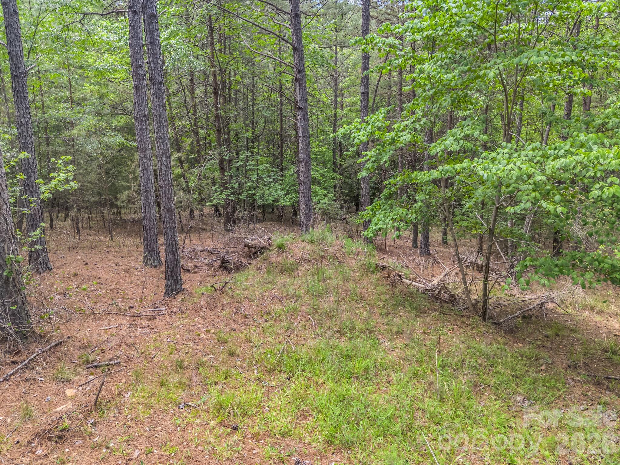 Broad River Highlands - Land