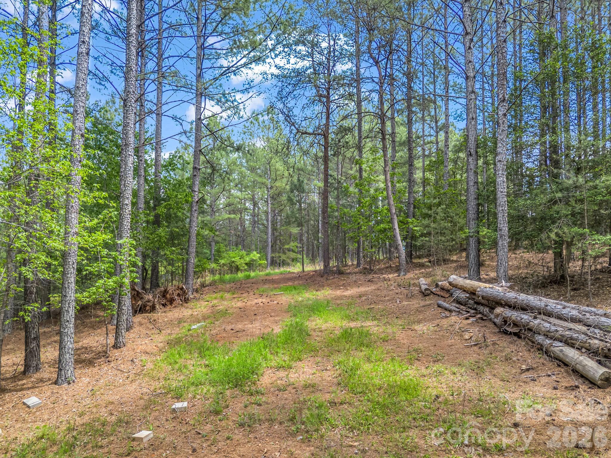Broad River Highlands - Land