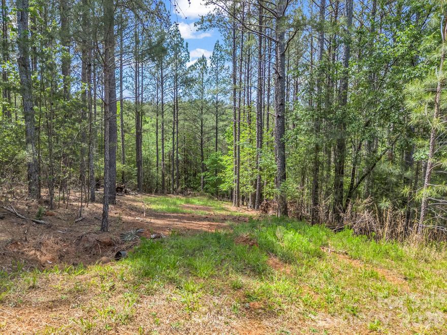Over an acre lot situated in the Broad River Highlands Community, just minutes from Boiling Springs. This development is covered with pines, wildlife and borders the Broad River. There is a common area with covered shelter, picnic tables, grills & direct access to the river! Underground power & county water are available; septic will be needed. Restrictions do apply (minimum sq footage, no manufactured homes, modulars are allowed, etc.) contact agent for more details!