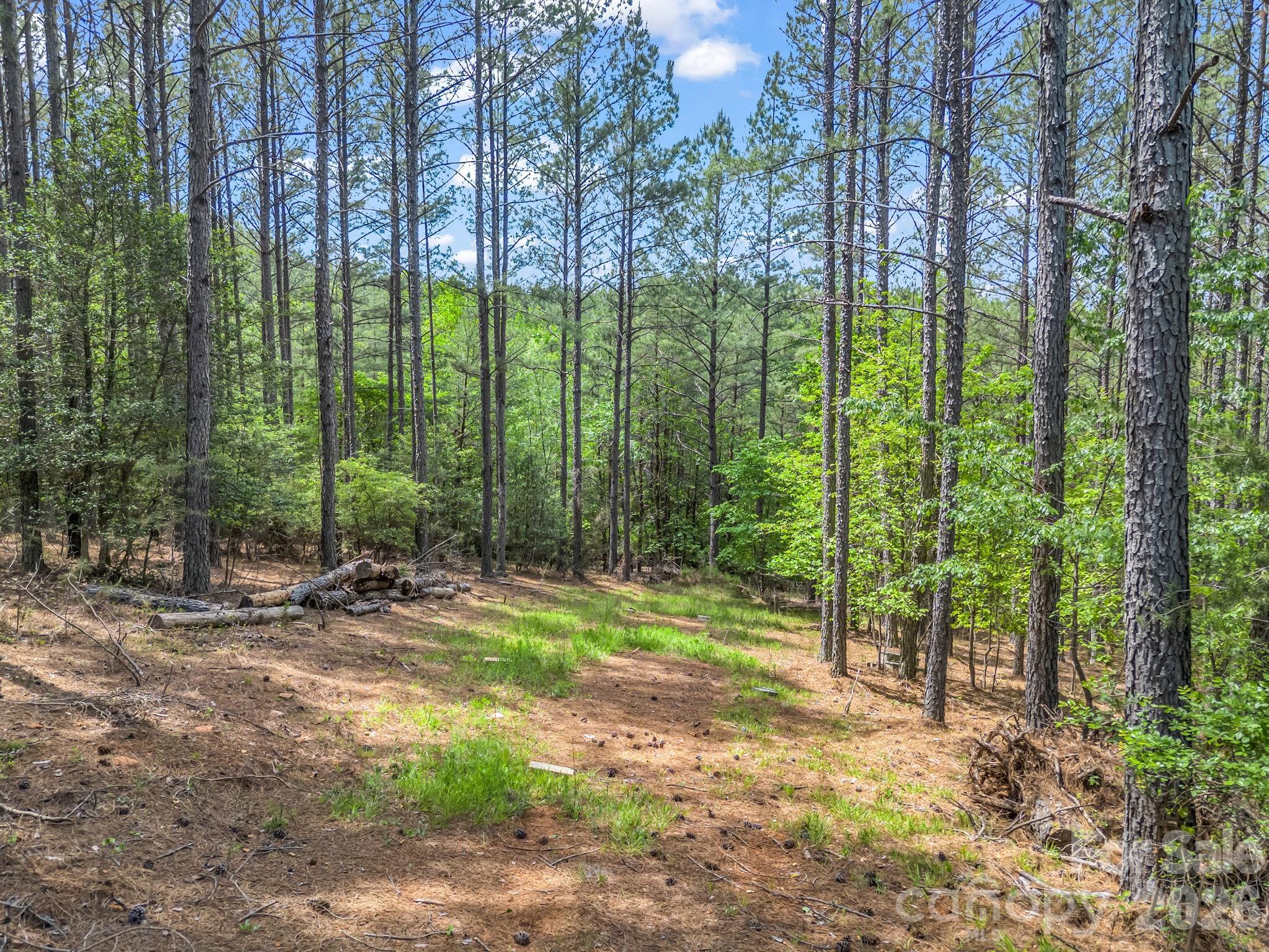 Broad River Highlands - Land