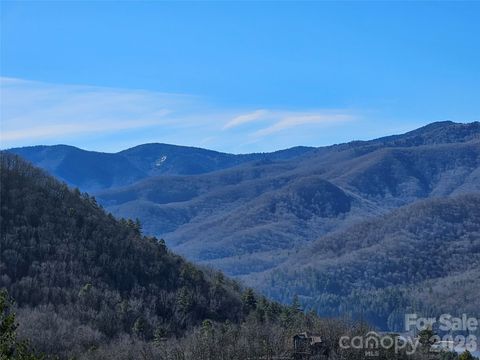 000 Blue Vista Road Canton NC 28716