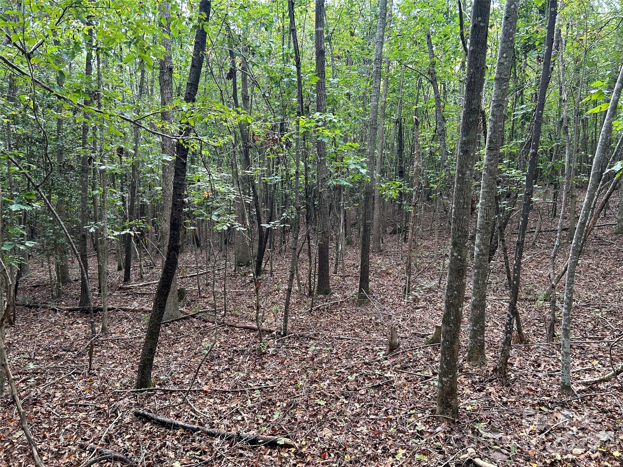 Pleasant View - Land