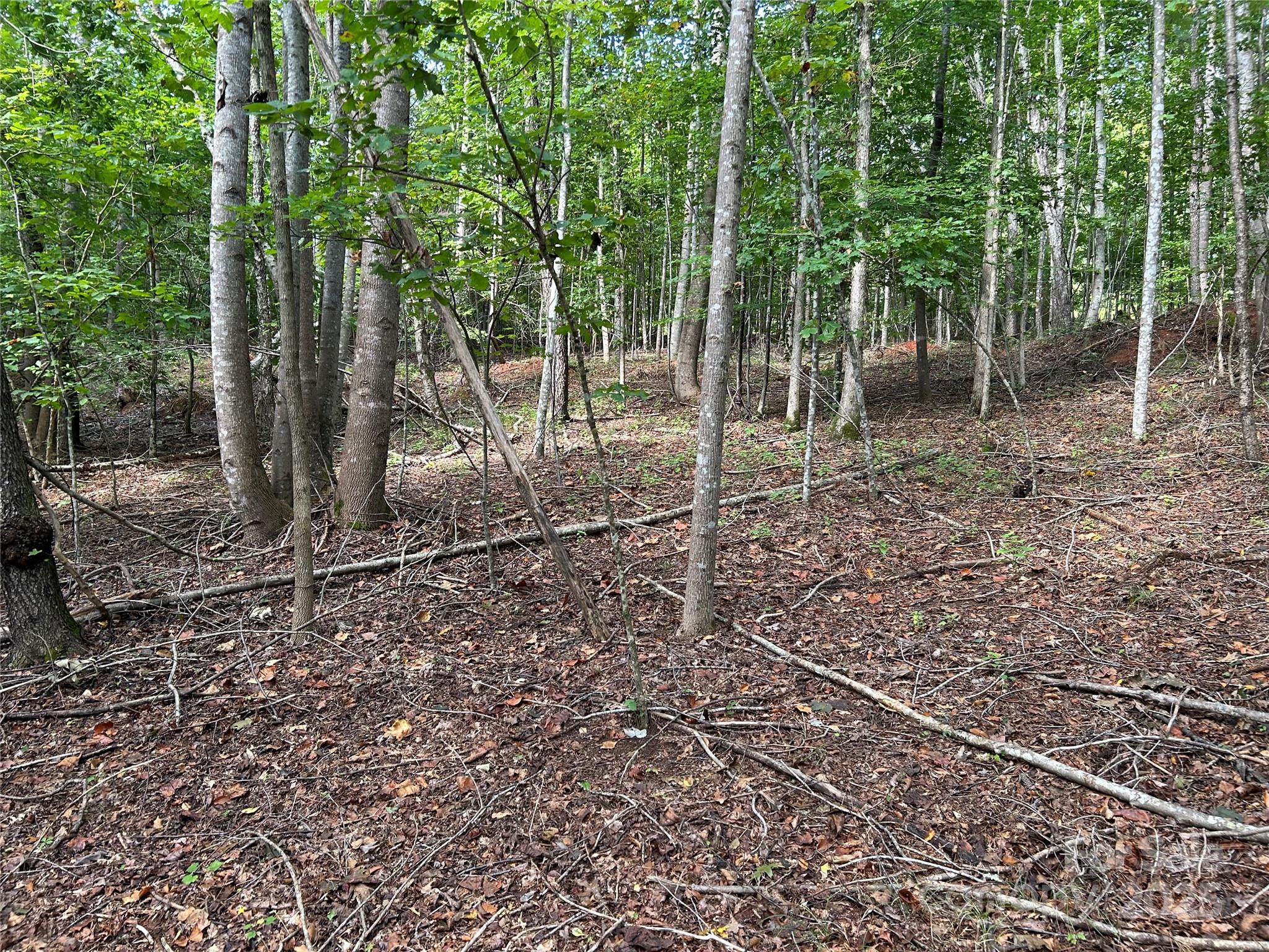 Pleasant View - Land