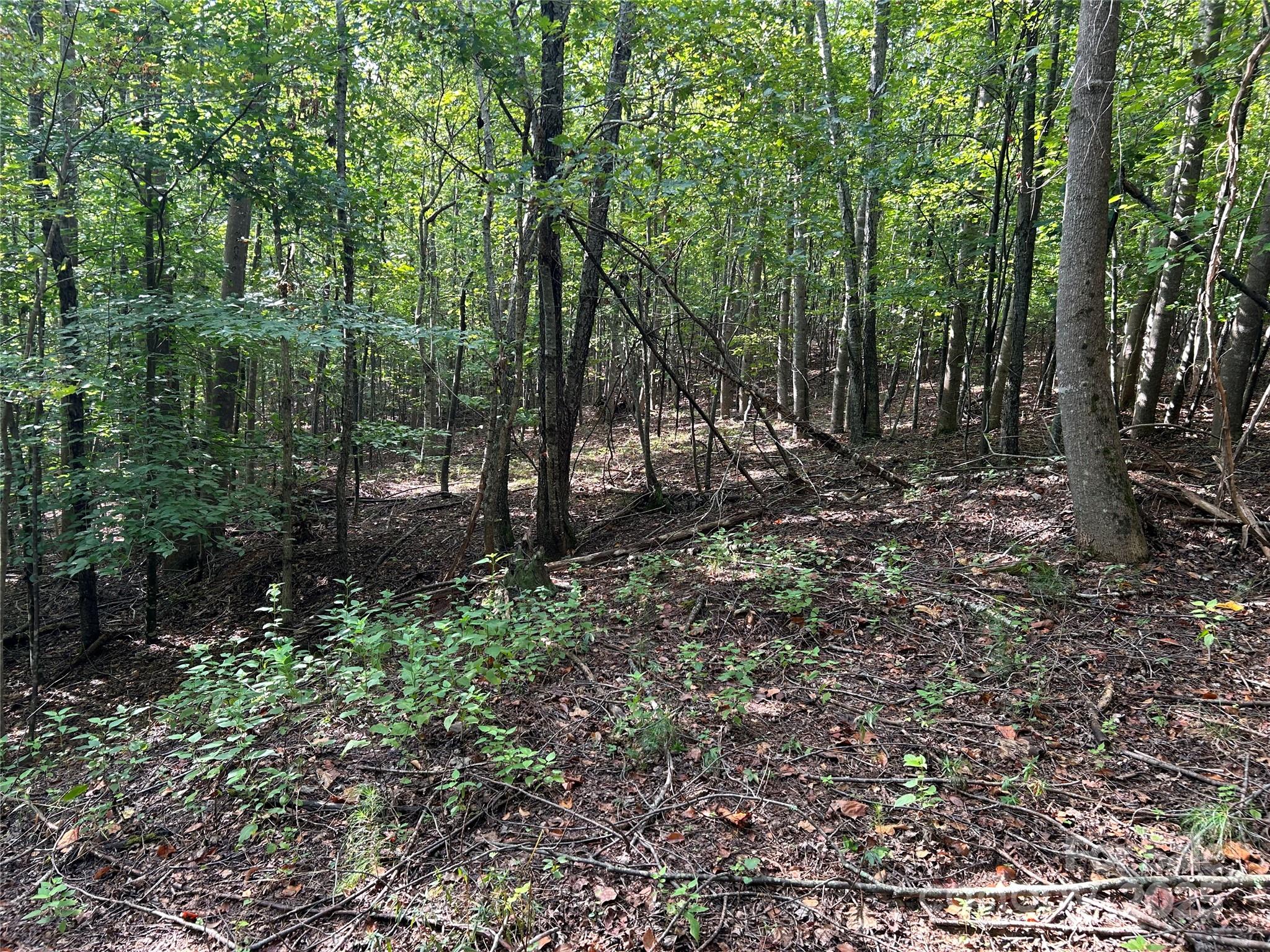 Pleasant View - Land