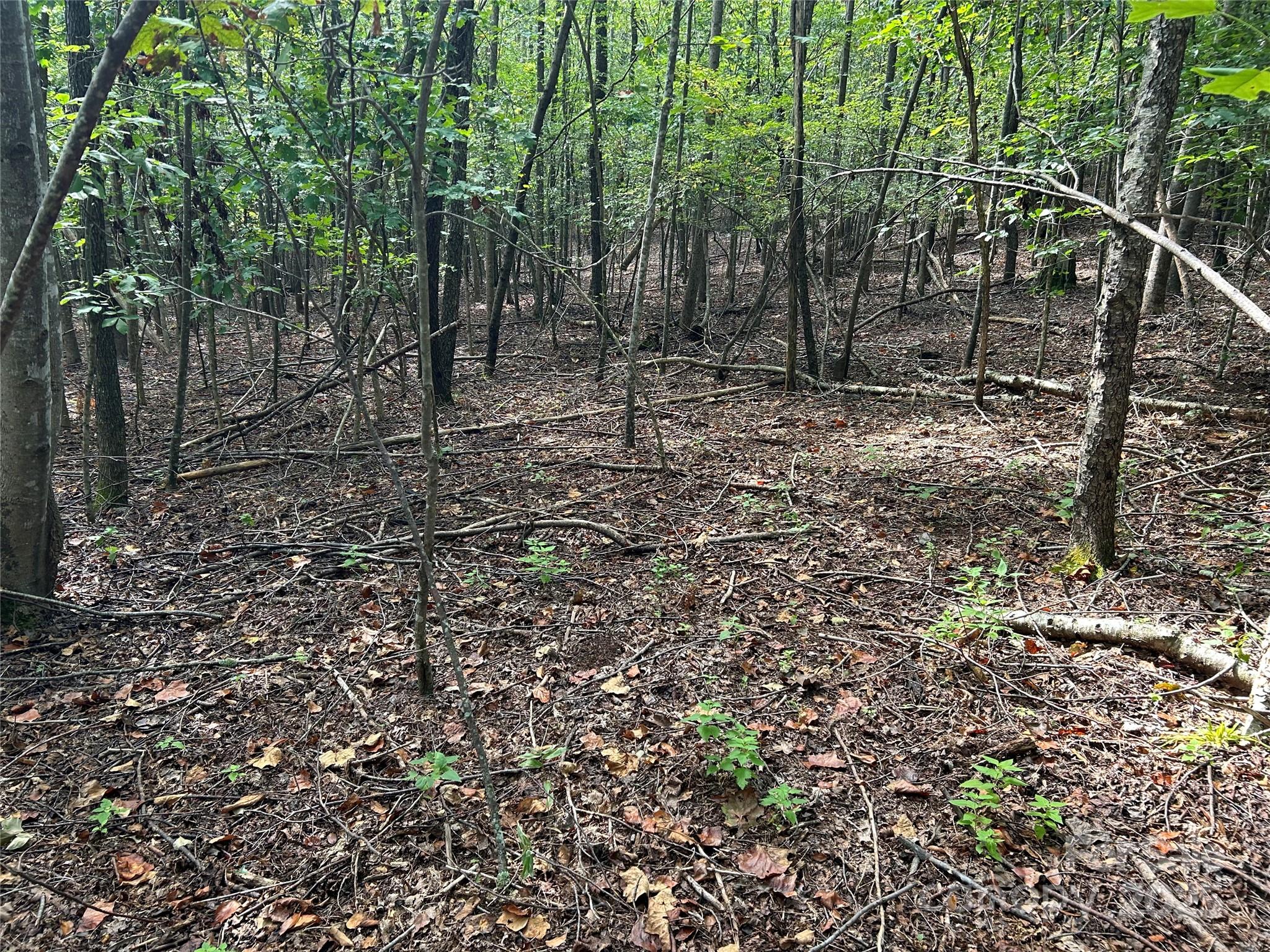 Pleasant View - Land