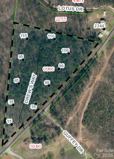 115 Vein Mountain Road 1