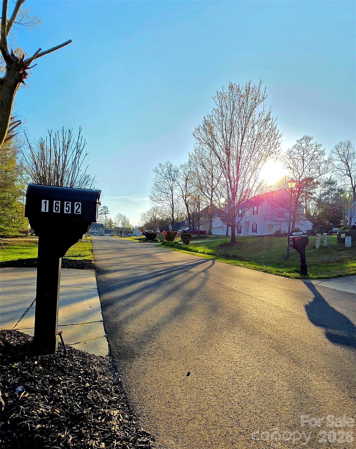 Forest Creek - Residential