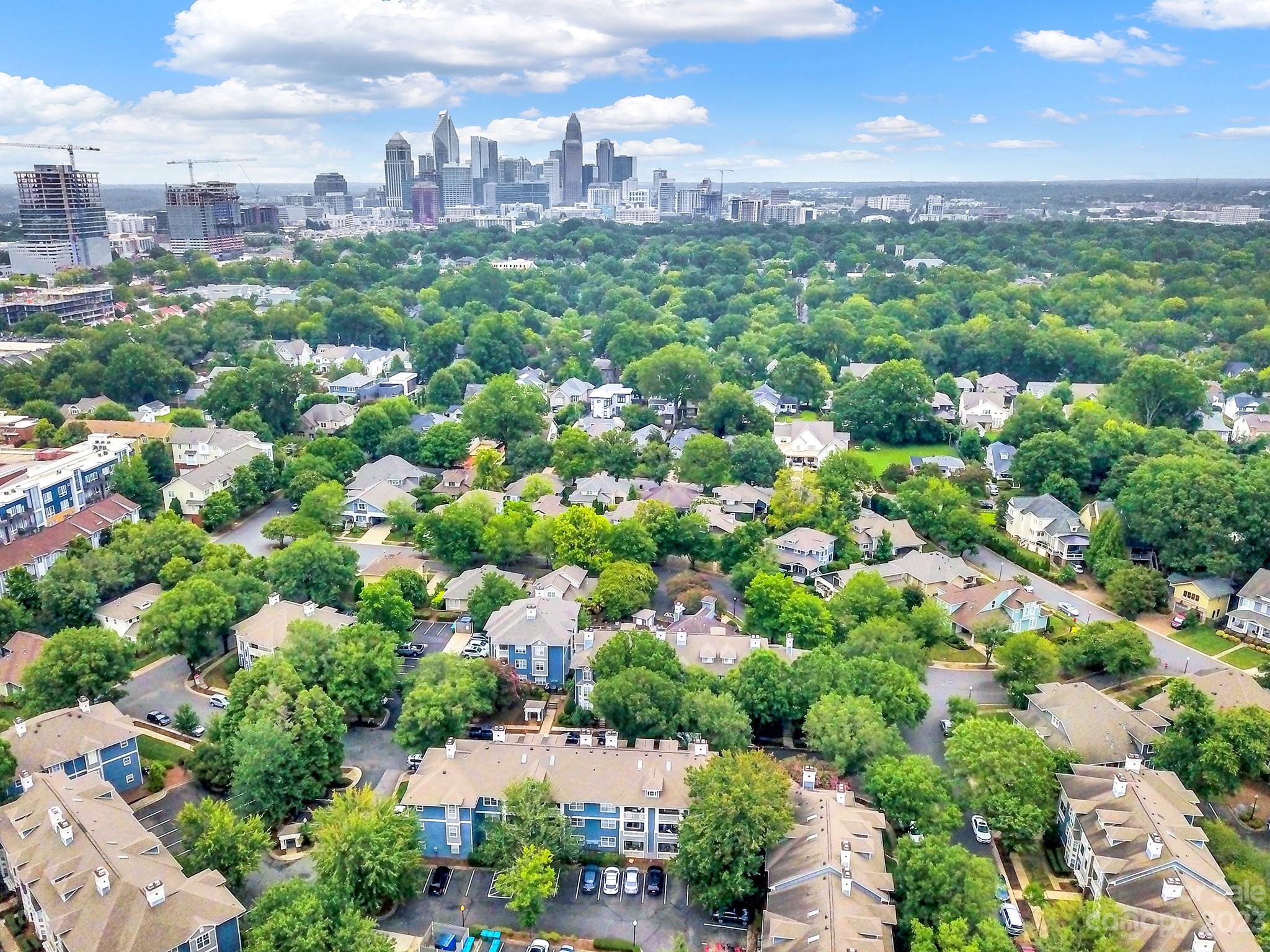 Olmsted Park at Dilworth - Residential