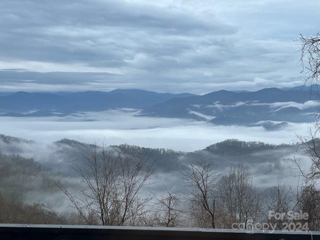 Conley Mountain Association - Residential