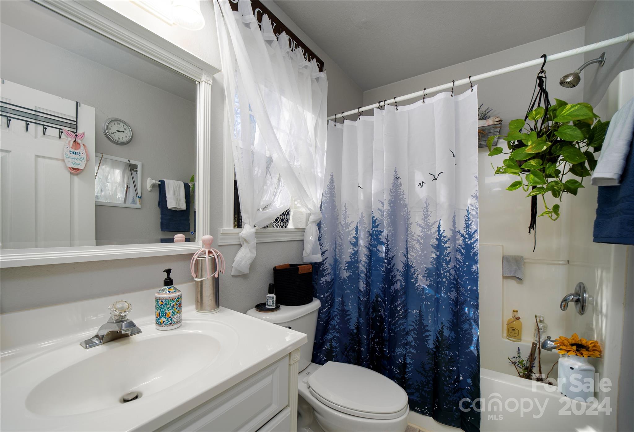 Conley Mountain Association - Residential