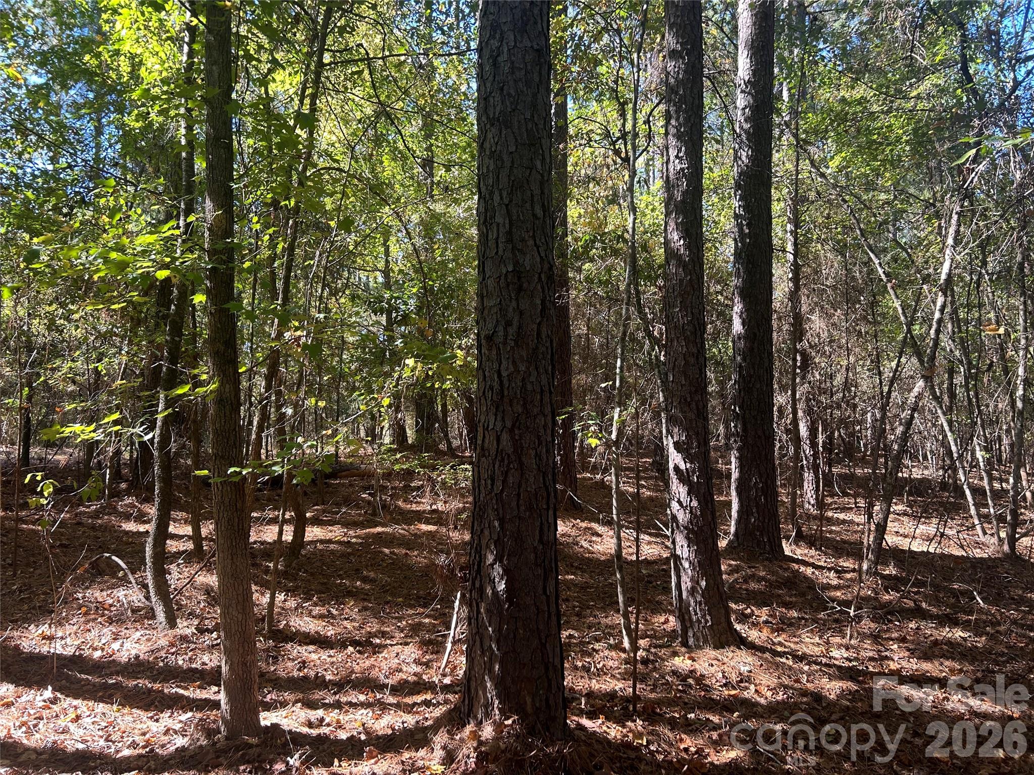 5 AC Lot 3 Ernandez Road