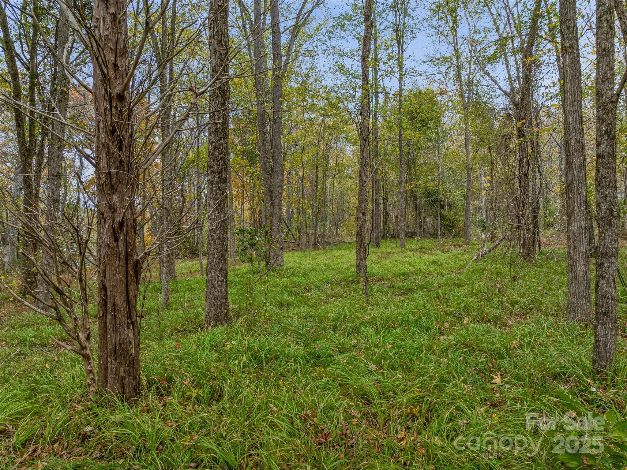 none - Residential Income