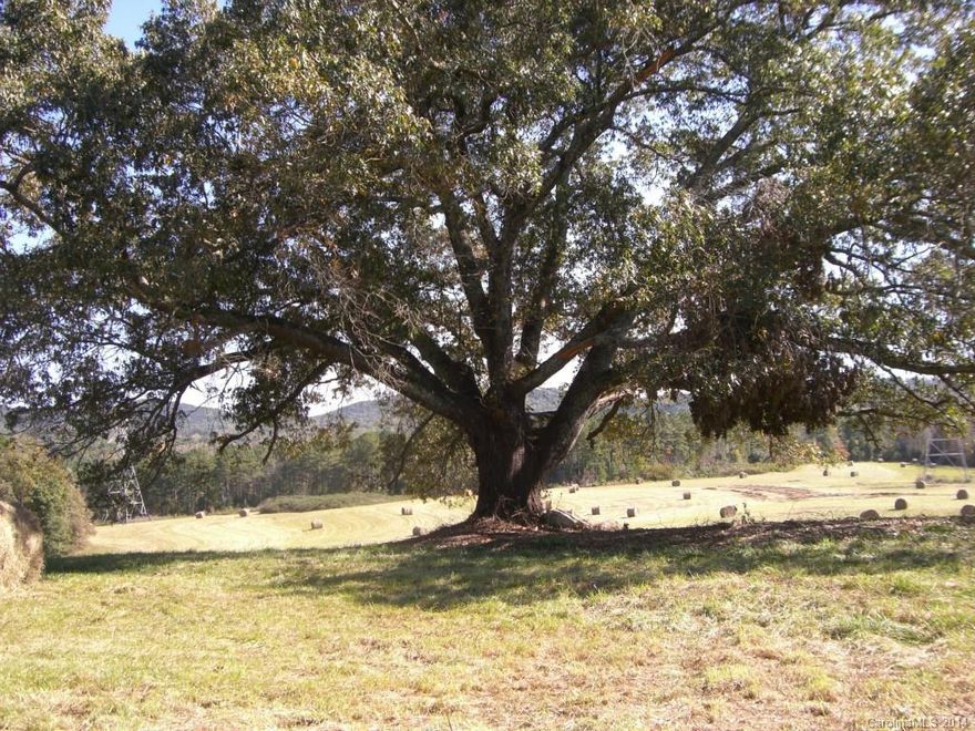 Mountain views, would make a great mini farm, nice barn. Home on property being sold as is with no value.