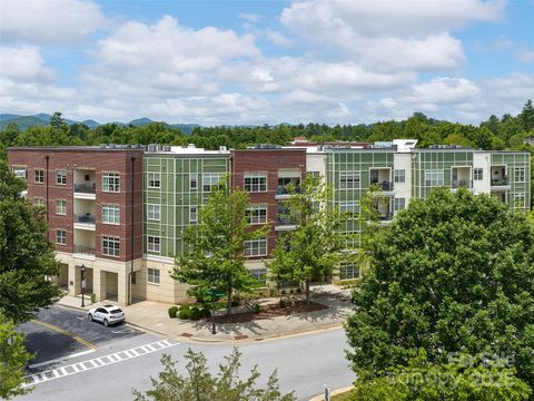 42 Schenck Parkway 306 Asheville NC 28803