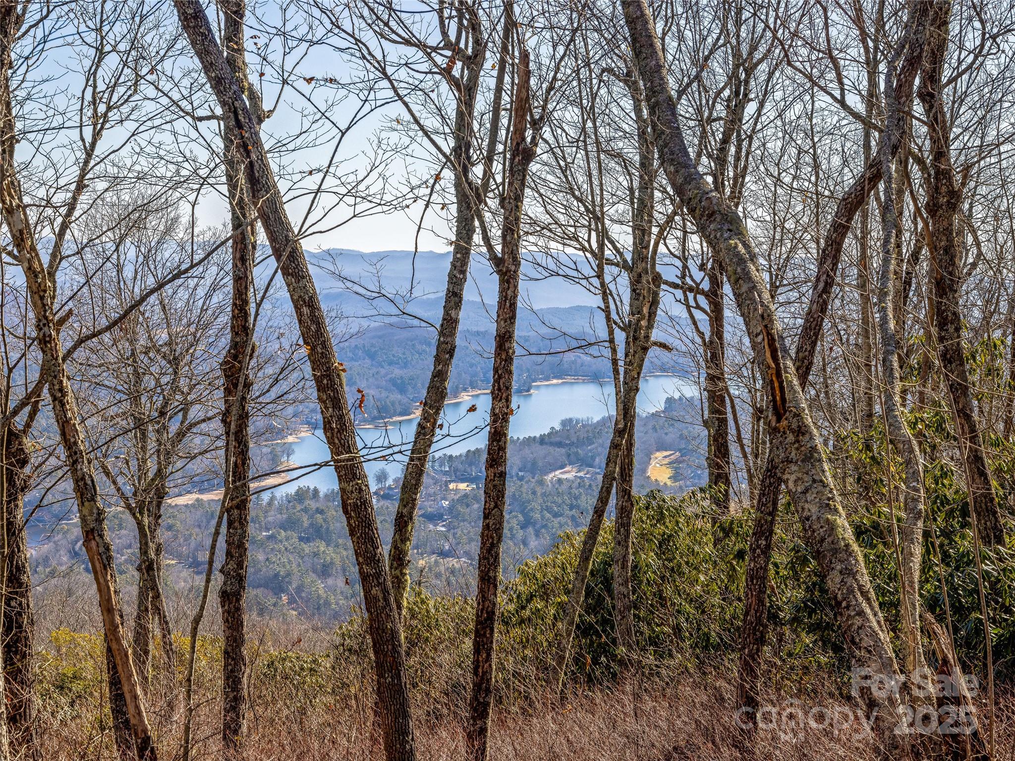 Lake Toxaway Estates - Land