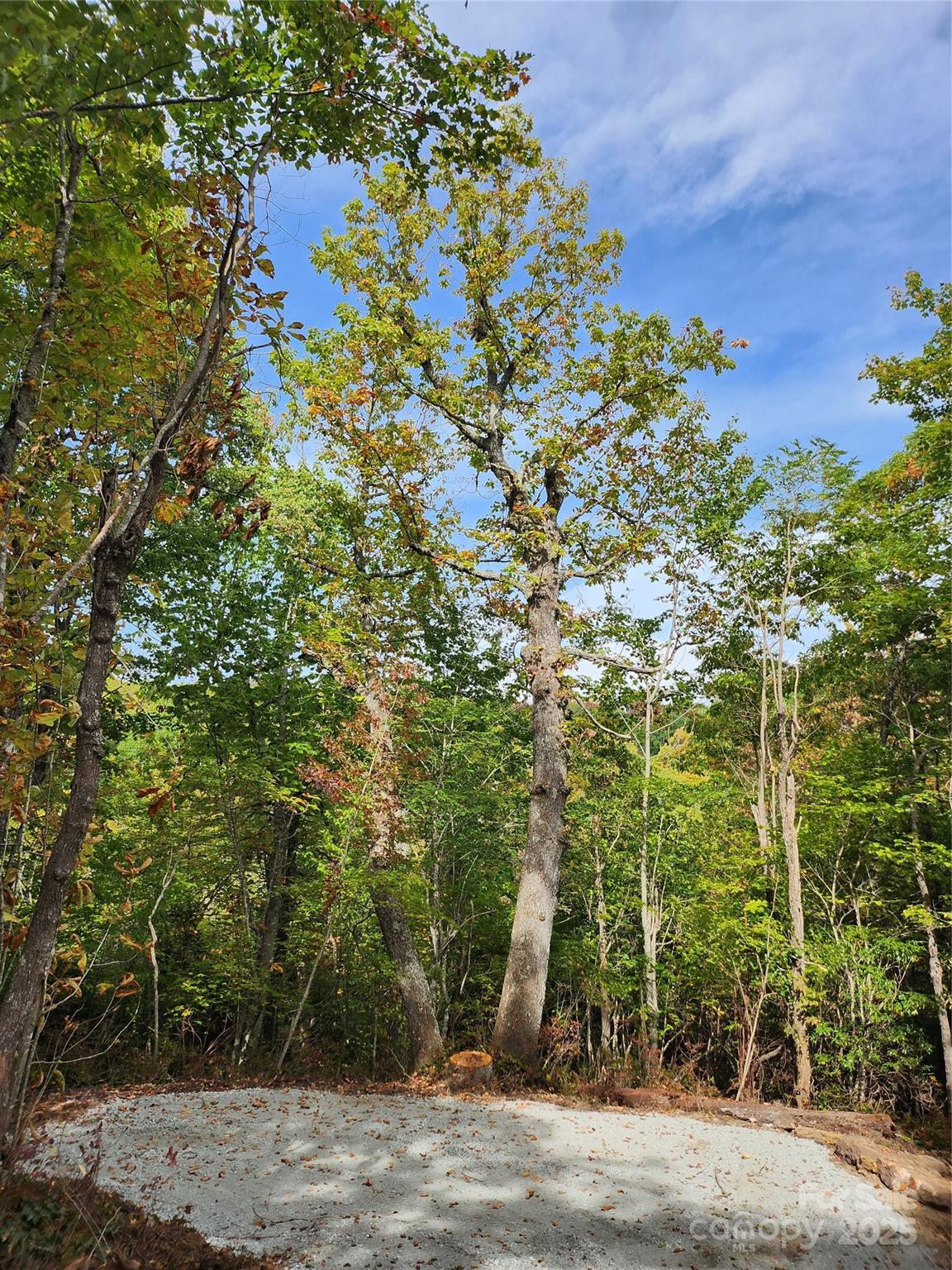 Lake Toxaway Estates - Land