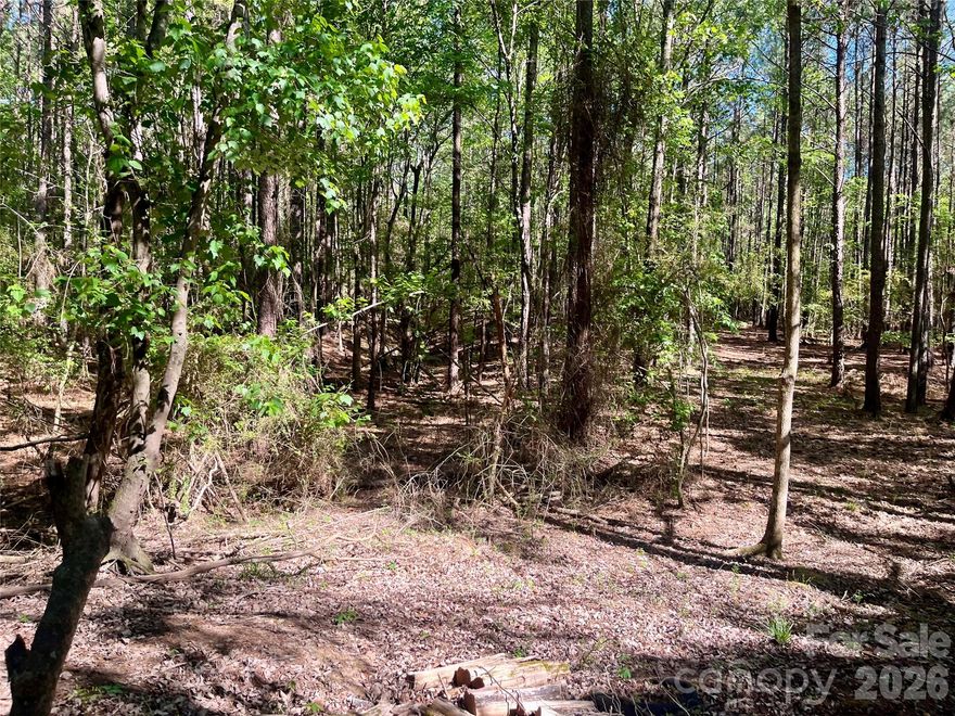 22 +/- acres!!!! NO HOA and tons of privacy!! Build your dream home or build your community. 1700 ft of road frontage and county water available. So much to offer with this land.