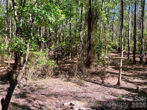 0 White Store Road Polkton NC 28135