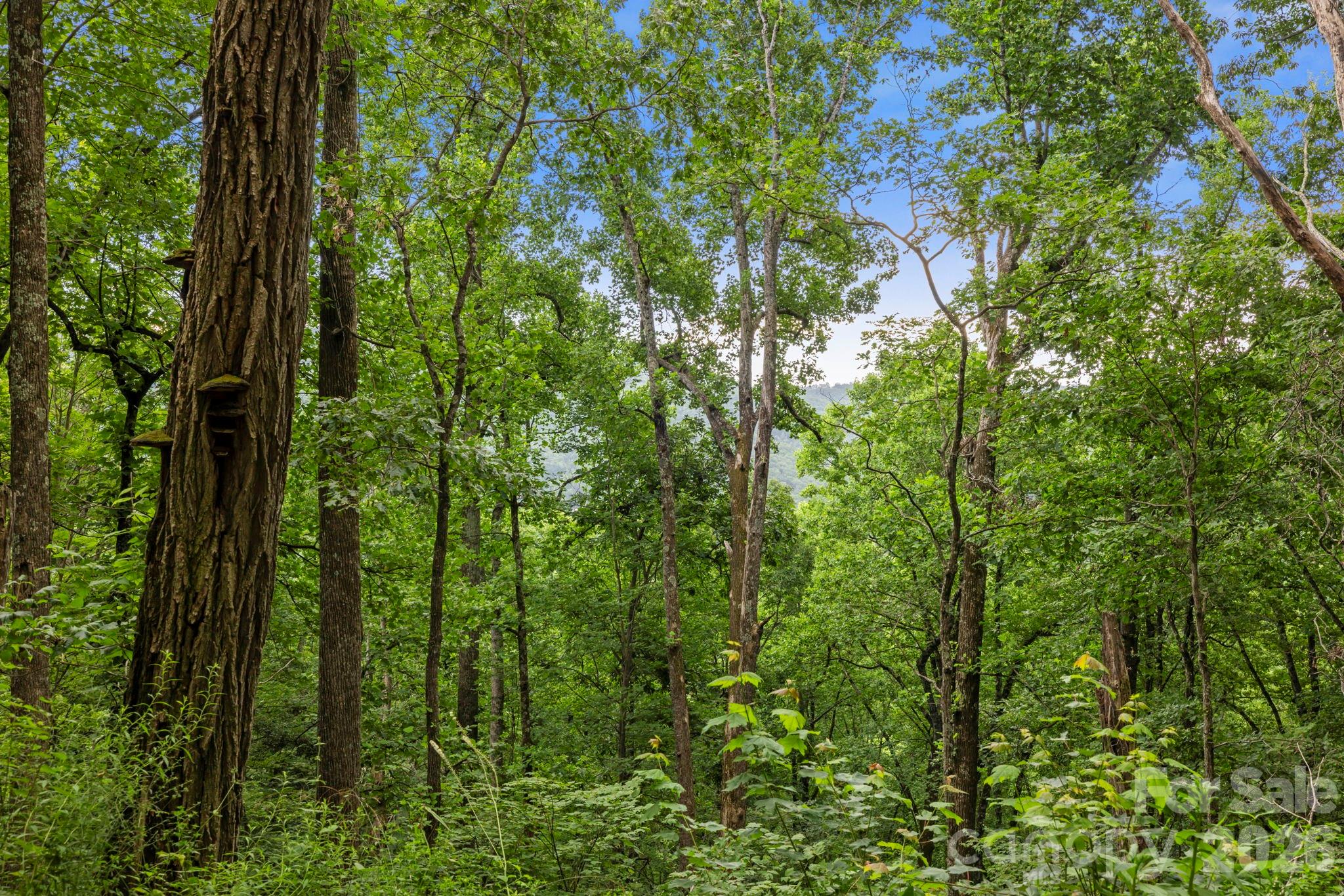 99999 Little Pisgah Road