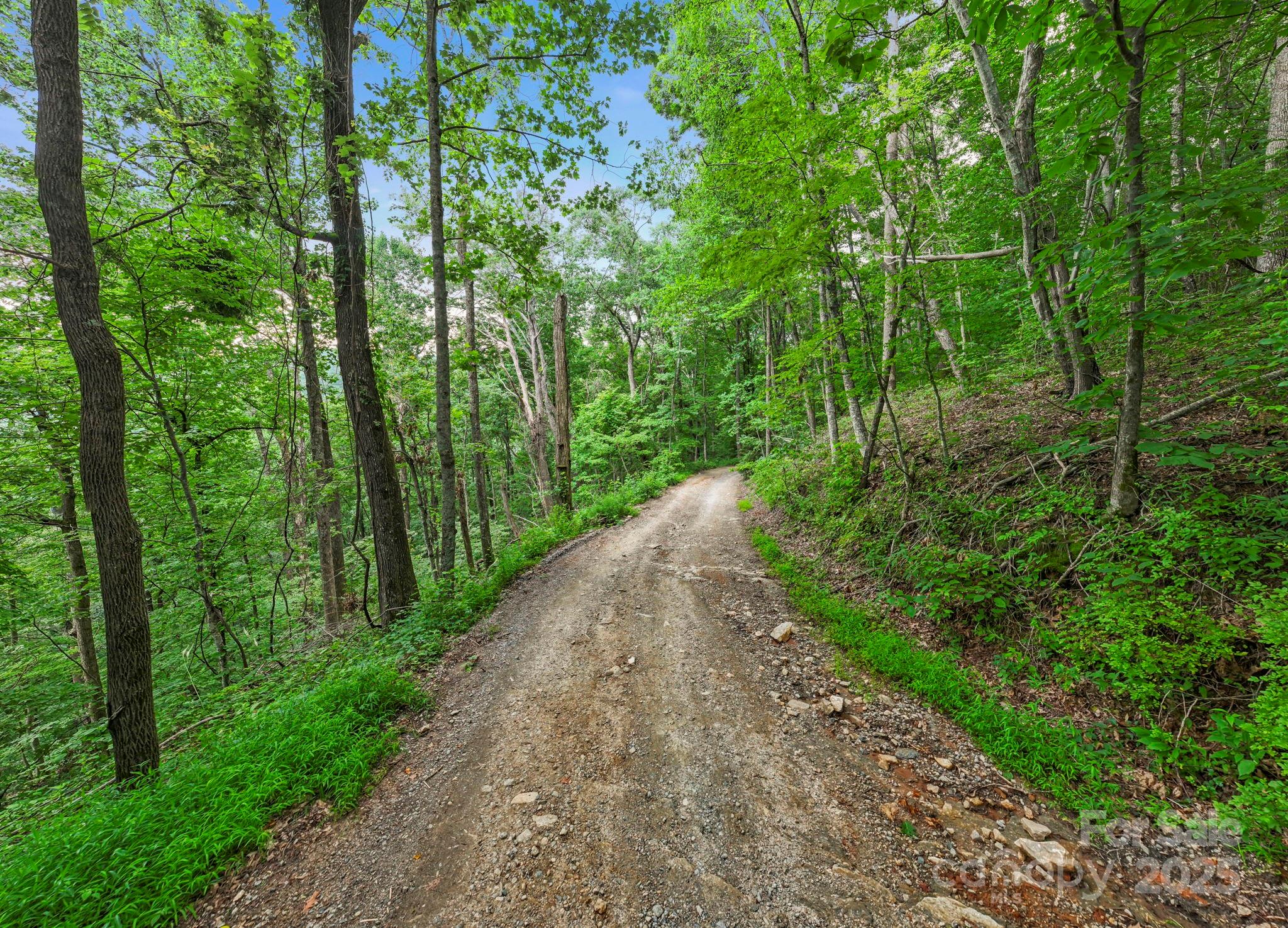 99999 Little Pisgah Road