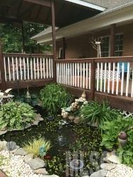 Wittenburg Springs - Residential