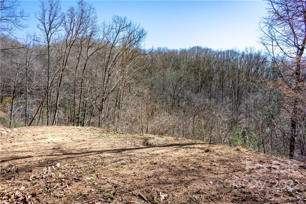 Grassy Top Estates - Land